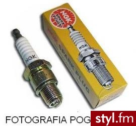 NGK Świeca BR8HSA - Pozostałe Buty Moda