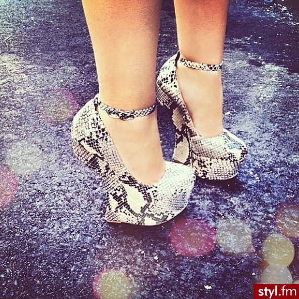 Koturny Buty Moda
