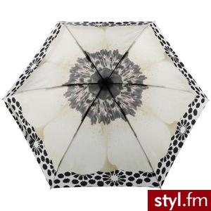 20 dolcow - Misz-masz