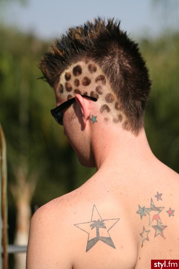 Punk Rock Alternatywne Średnie Fryzury