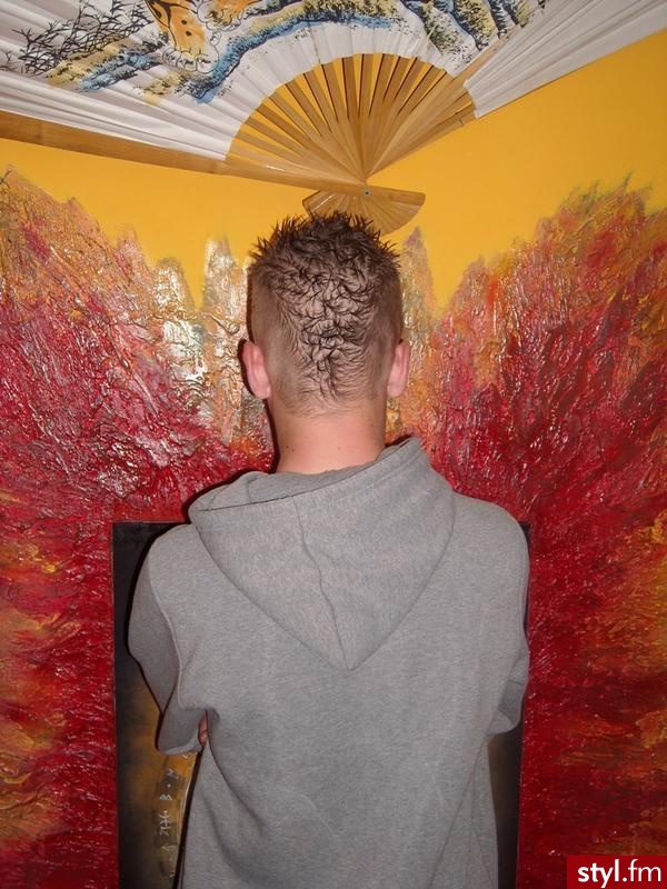 Punk Rock Alternatywne Średnie Fryzury