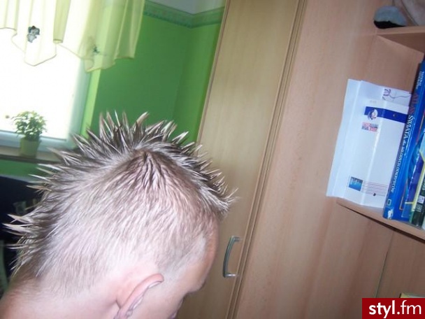 Punk Rock Alternatywne Średnie Fryzury