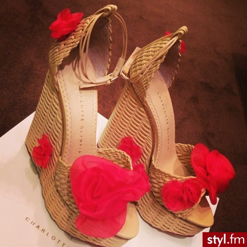 Koturny Buty Moda