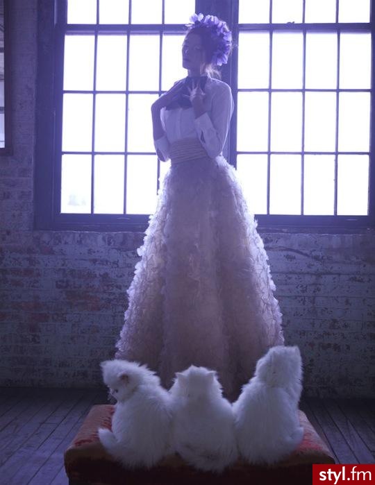 Sukienki Moda