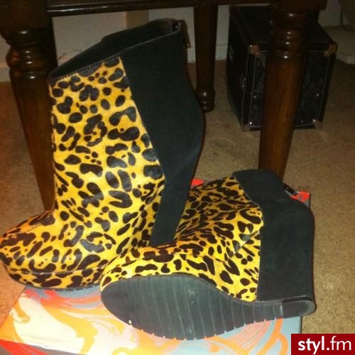 Koturny Buty Moda