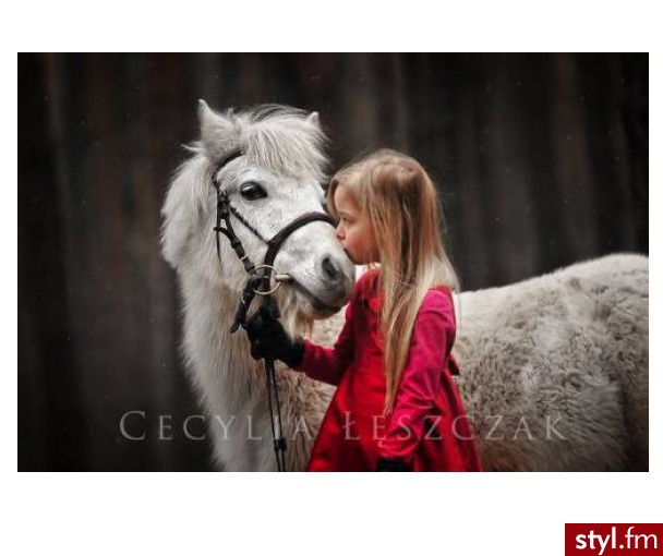 

                                                                                      - Styler