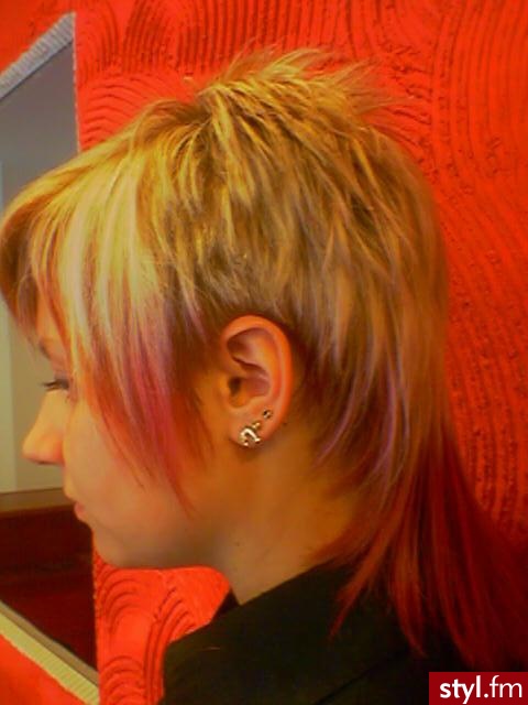 Punk Rock Alternatywne Średnie Fryzury