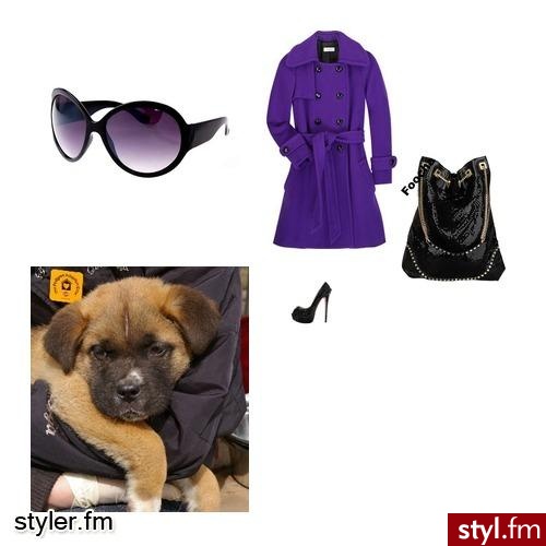 moje;/. elegancko cool - Styler