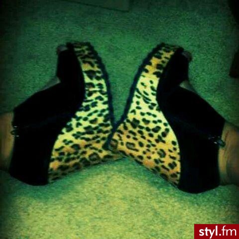Koturny Buty Moda