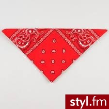 Zdjęcie dodane do bazy zdjęć Stylera - Styler
