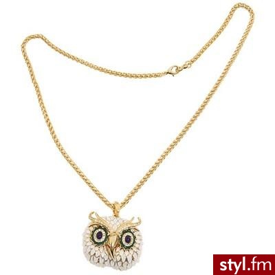 Owl Medallion Necklace - Multiview - Polyvore. Pobrano ze strony: http://www.polyvore.com/owl_medallion_necklace_multiview/thing?id=20512986 - Pozostałe Dodatki Moda