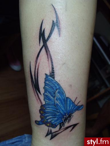 Motyl - Tatuaże