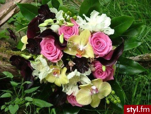 czarne kalie .... http://wedding.w8w.pl/KWIATY/Bukiety%20%C5%9Blubne/Kalie/slides/schwarzwalder_bouquet.html kolejny ;) - Bukiety ślubne Ślub Moda