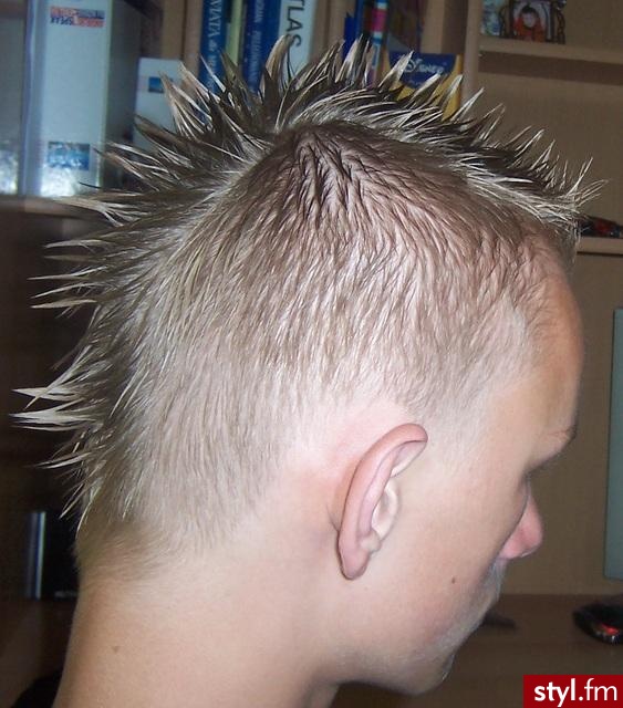 Punk Rock Alternatywne Średnie Fryzury