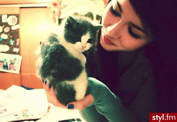 sweet  cat - Misz-masz
