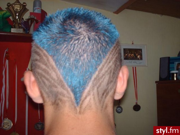 Punk Rock Alternatywne Średnie Fryzury