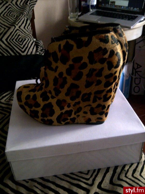 Koturny Buty Moda