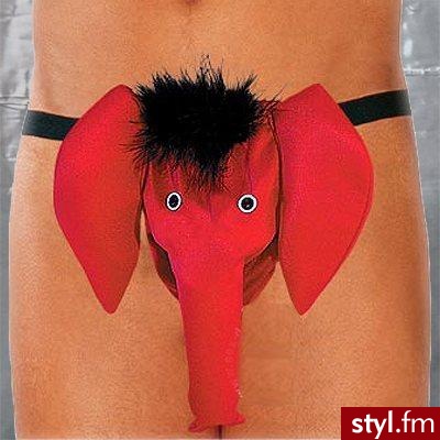 meskie stringi "sloniki" ;) - Pozostałe Ciuchy Moda