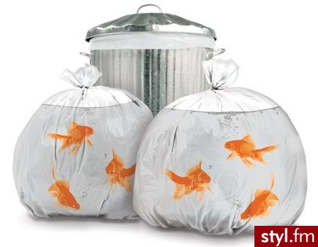Najoryginalniejsze worki na śmieci, jakie widziałam w życiu. Cena: $15.99 (za 12 sztuk). - Misz-masz