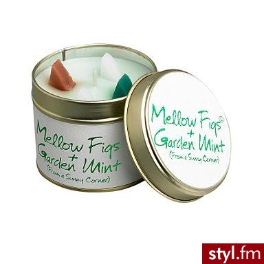świeczka z figą i miętą - 4GBP - Gadżety Inne Moda
