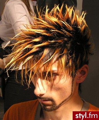 Punk Rock Alternatywne Średnie Fryzury
