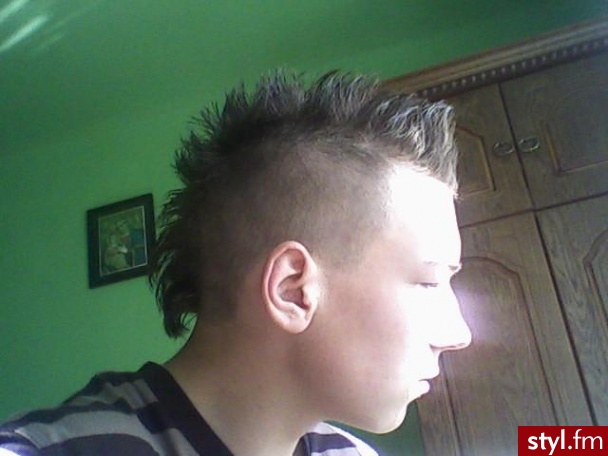 Punk Rock Alternatywne Średnie Fryzury