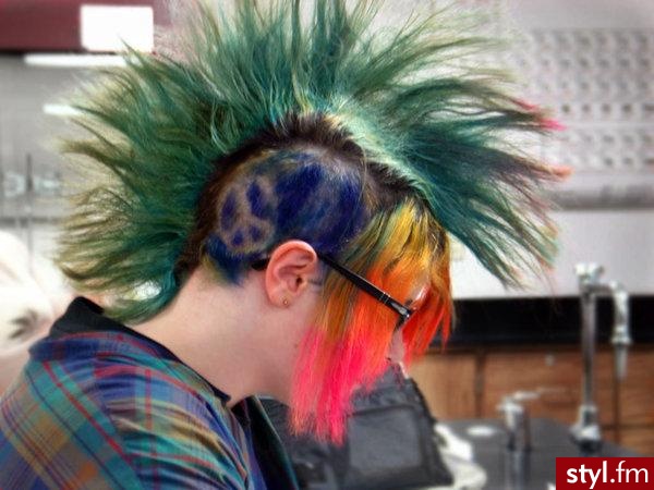 :D - Punk Rock Alternatywne Średnie Fryzury