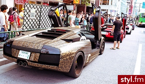 aventador - Misz-masz
