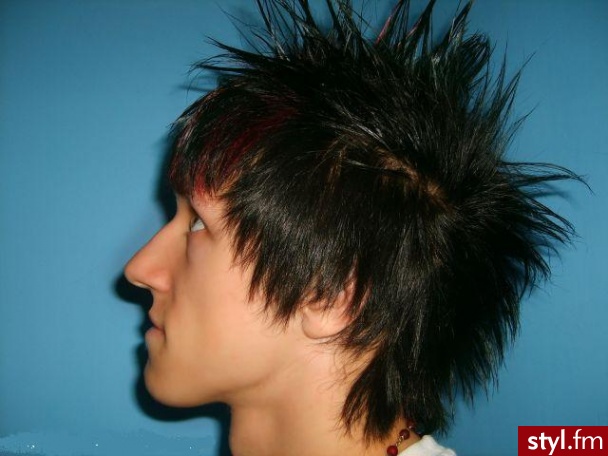 Punk Rock Alternatywne Średnie Fryzury