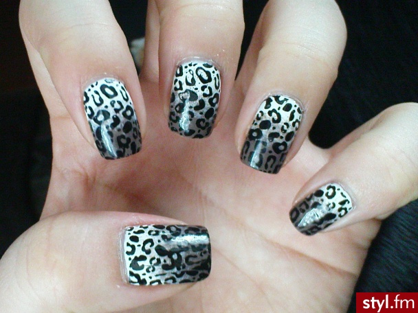 Ombre and pantera :) - Naturalne Paznokcie