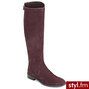 JB Martin BUTY GALANT ŚLIWKA - Kozaki Buty Moda