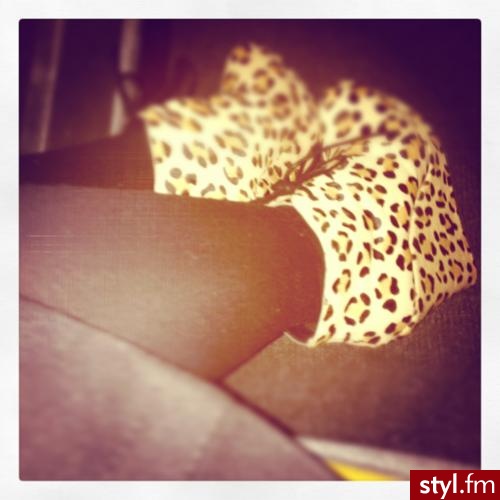 Koturny Buty Moda
