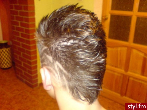 Punk Rock Alternatywne Średnie Fryzury