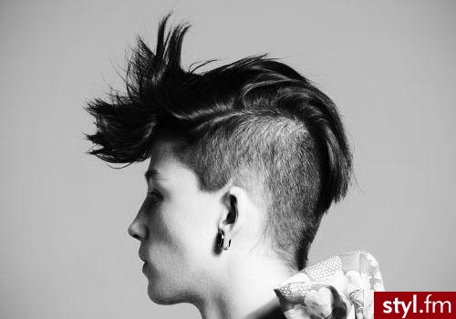 Punk Rock Alternatywne Średnie Fryzury