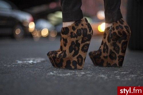 Półbuty Buty Moda