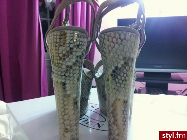 Koturny Buty Moda