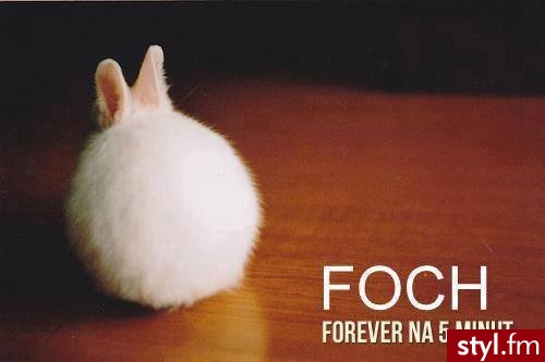 Porady - zrób to sam
