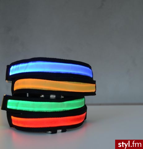 Świecąca obroża dla psa.Najnowszy wynalazek technologii LED–obroża LED pozwoli Ci widzieć Twojego czworonoga z daleka po zapadnięciu zmroku. (do wyboru jeden z 3 trybów świecenia-miganie szybkie, miganie wolne, światło ciągłe).Różne kolory. LEDco.pl - Zwierzaki