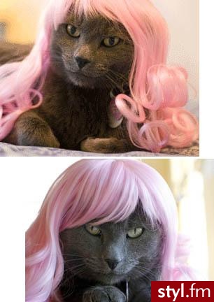 he he ! ;D ;] - Średnie Fryzury