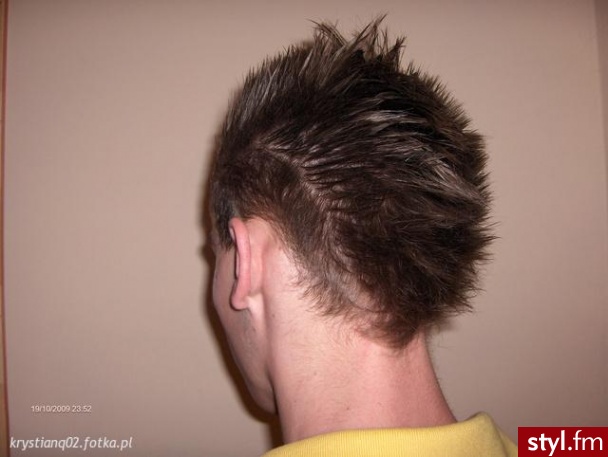 Punk Rock Alternatywne Średnie Fryzury