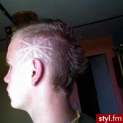 Punk Rock Alternatywne Średnie Fryzury