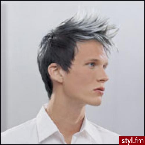 Punk Rock Alternatywne Średnie Fryzury