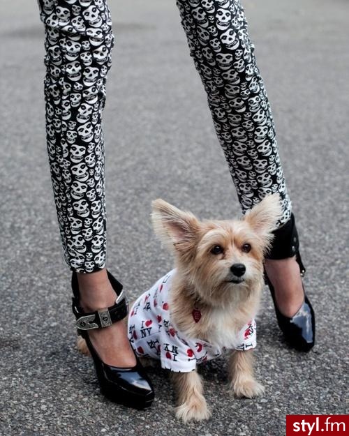 Pozostałe Ciuchy Moda