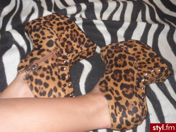 Koturny Buty Moda
