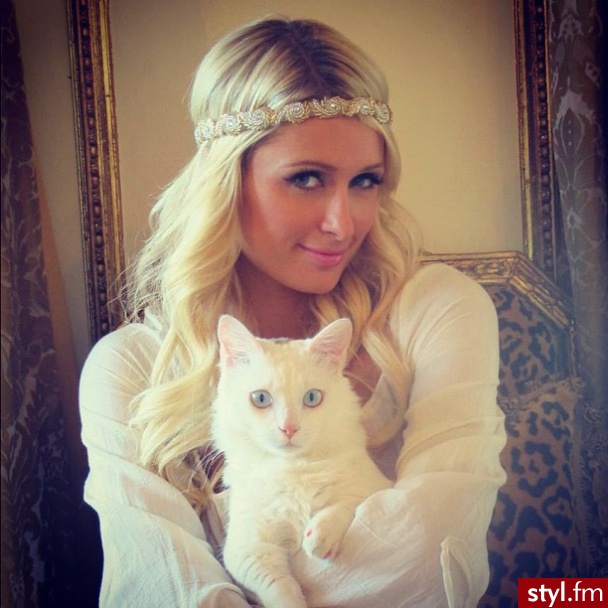 Blond Rozpuszczone Kręcone Fryzury gwiazd Długie Fryzury