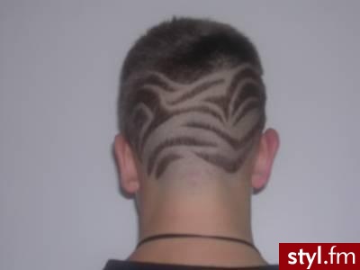 Punk Rock Alternatywne Średnie Fryzury