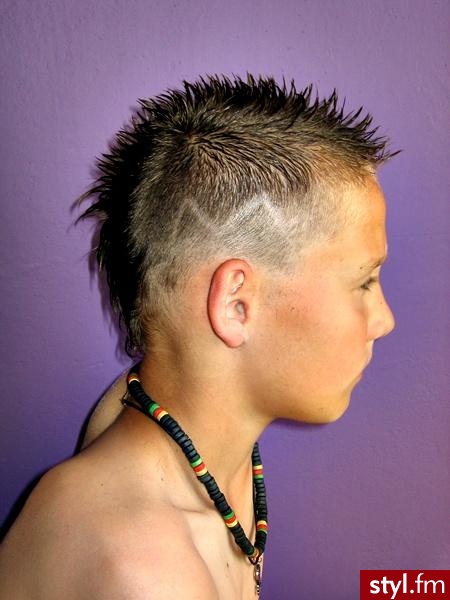 Punk Rock Alternatywne Średnie Fryzury