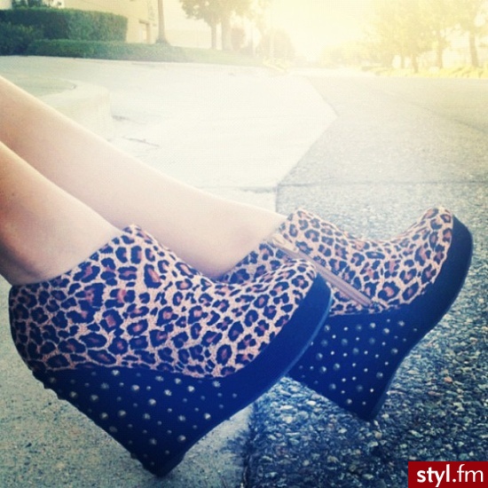 Koturny Buty Moda