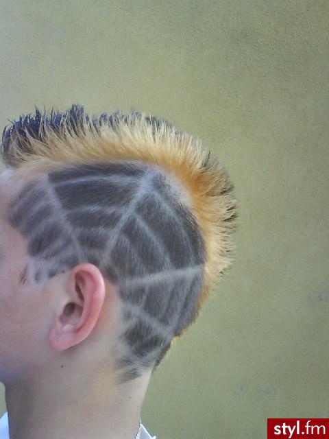 Punk Rock Alternatywne Średnie Fryzury