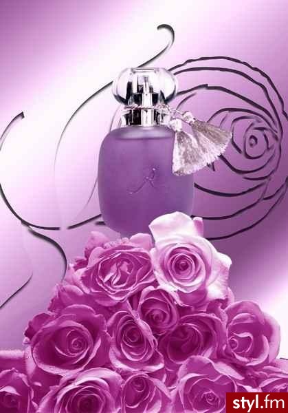 perfumy - Misz-masz